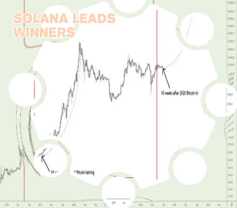 Bitcoin halving chart