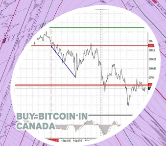 Buy cryptocurrency with usd