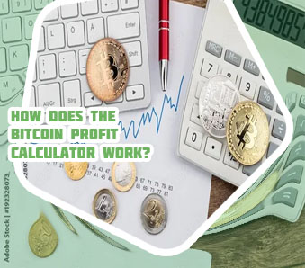 If i bought bitcoin calculator