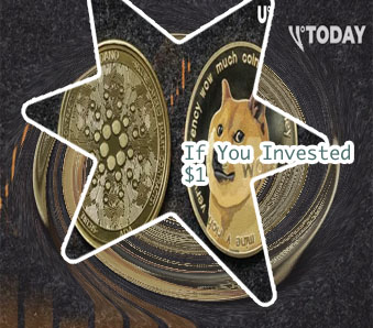 If i put 1000 in dogecoin